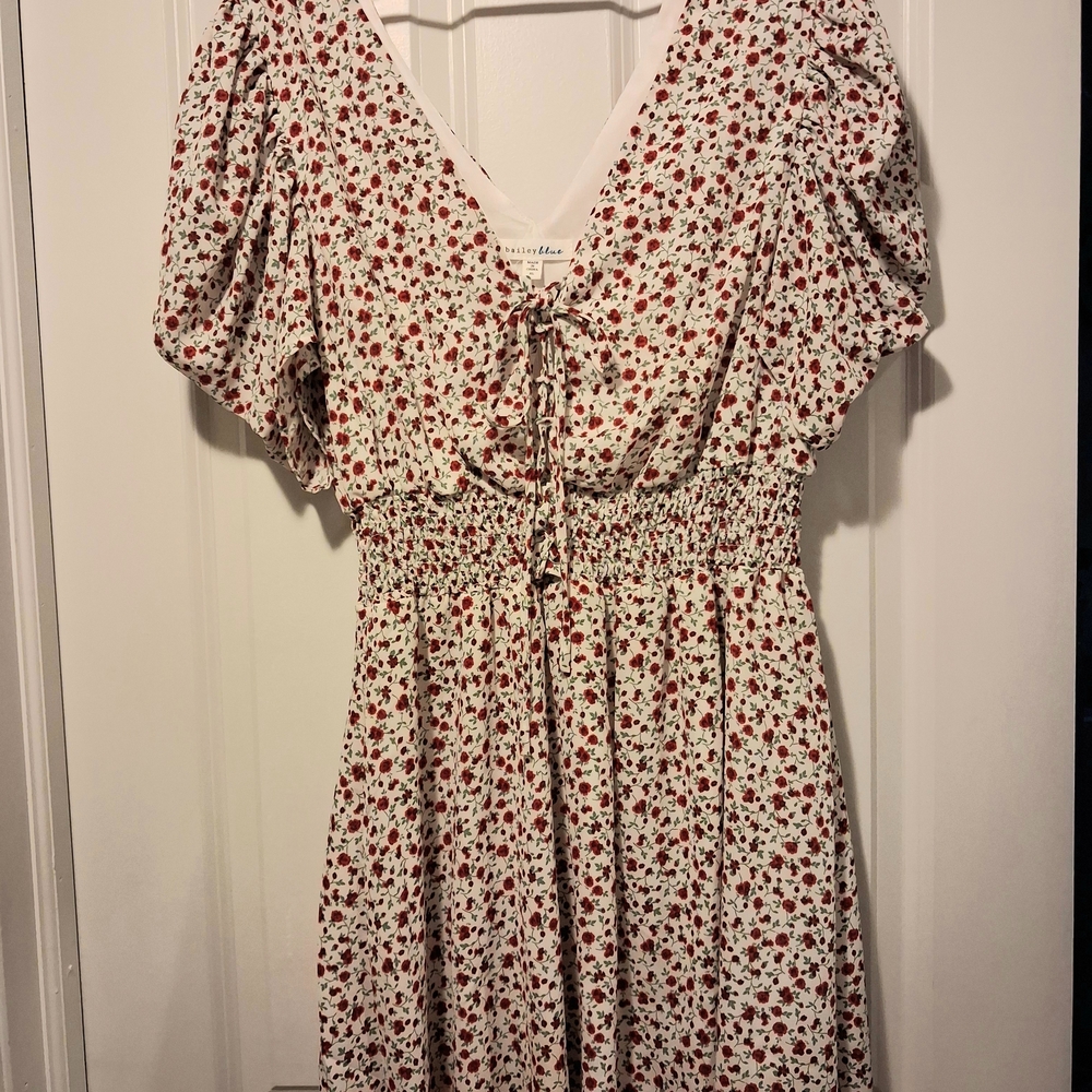 Bailey Blue Floral Dress - Red and White